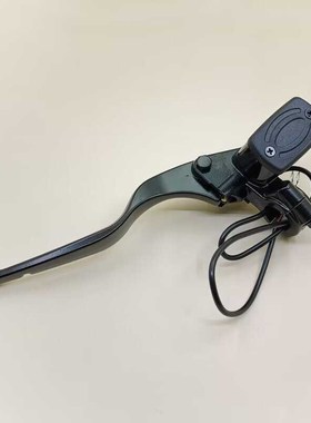 深远T90三代电动车刹车泵T90-T上泵T3S/009/A8L双油管联动碟刹泵