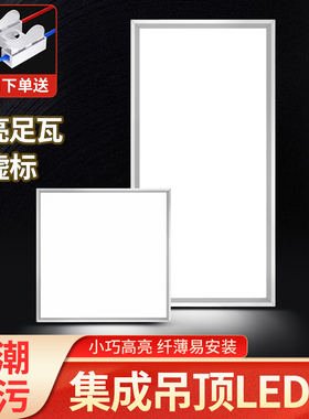 集成吊顶灯厨房卫生间灯铝扣板嵌入式30x30x60x300x600平板灯