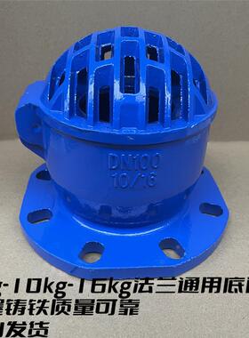 H42X10-16蓝色铸铁烤漆法兰底阀 止回阀单向阀 抽水泵吸水底阀100