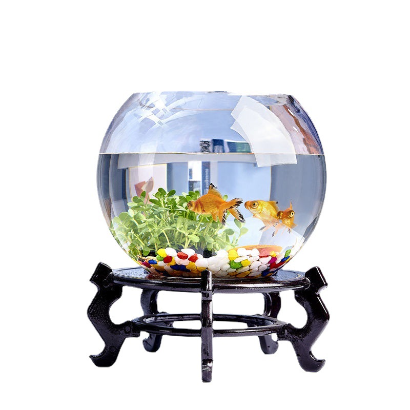 圆形鱼缸玻璃加厚水培缸带脚桌面小型迷你乌龟缸圆球水培植物代发