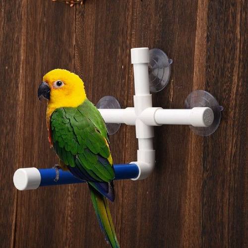 Bird Bath Perch Suction Cup Shower Stand Bird Water Bath
