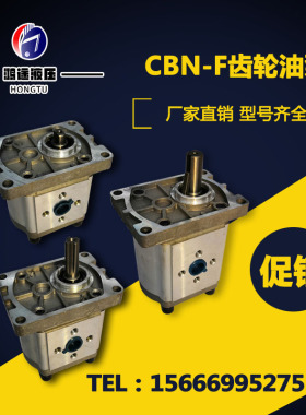 极速齿轮泵新款整件8台物流包邮油泵CBN-E F0104 31625 液压泵站