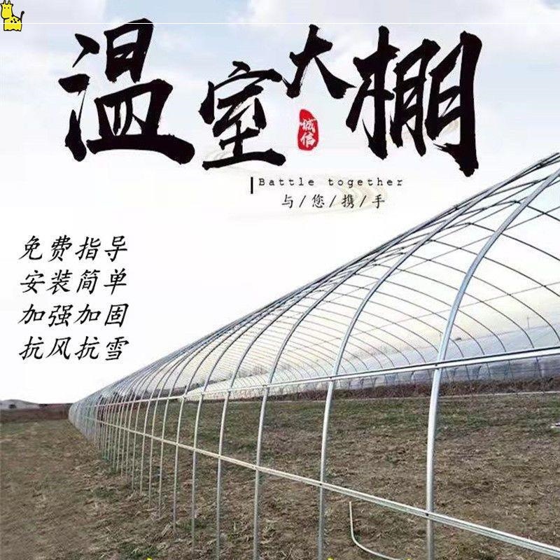 温室大棚全套养鸡棚鸡舍鸭鹅猪棚牛羊棚种植蔬菜养殖大棚骨架钢管