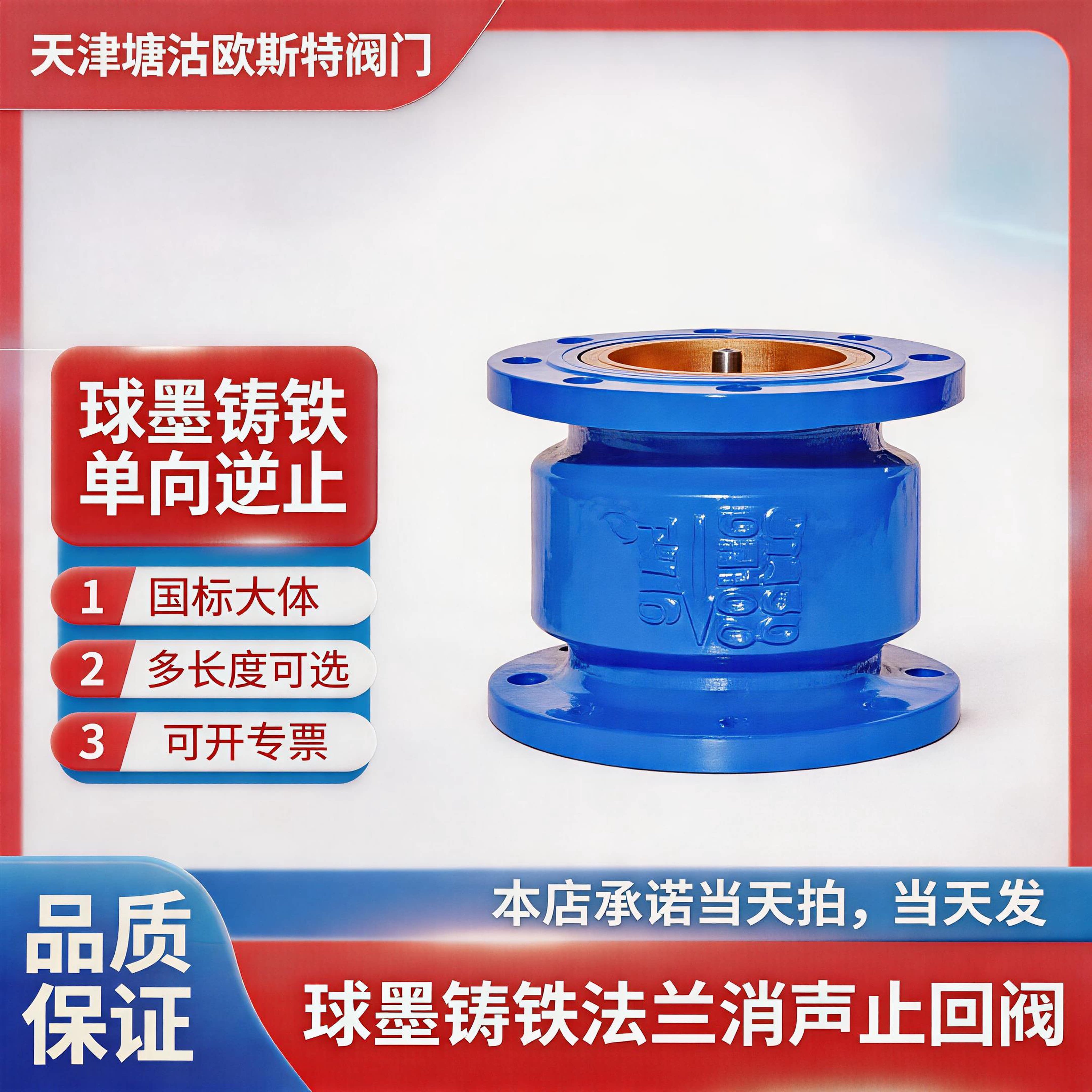 天津塘沽法兰消声立式铸铁单向图片