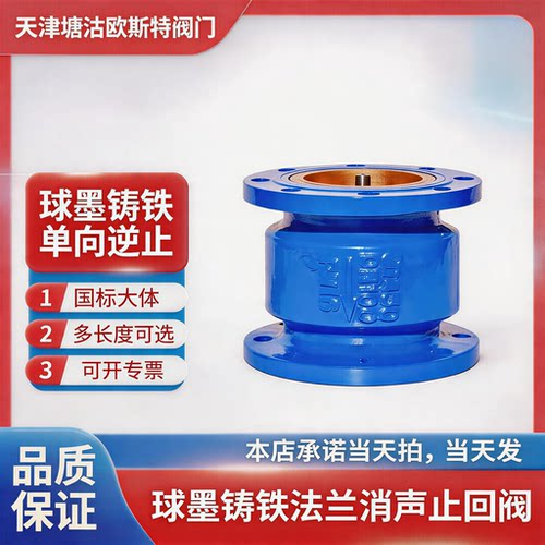 天津塘沽法兰消声立式铸铁单向