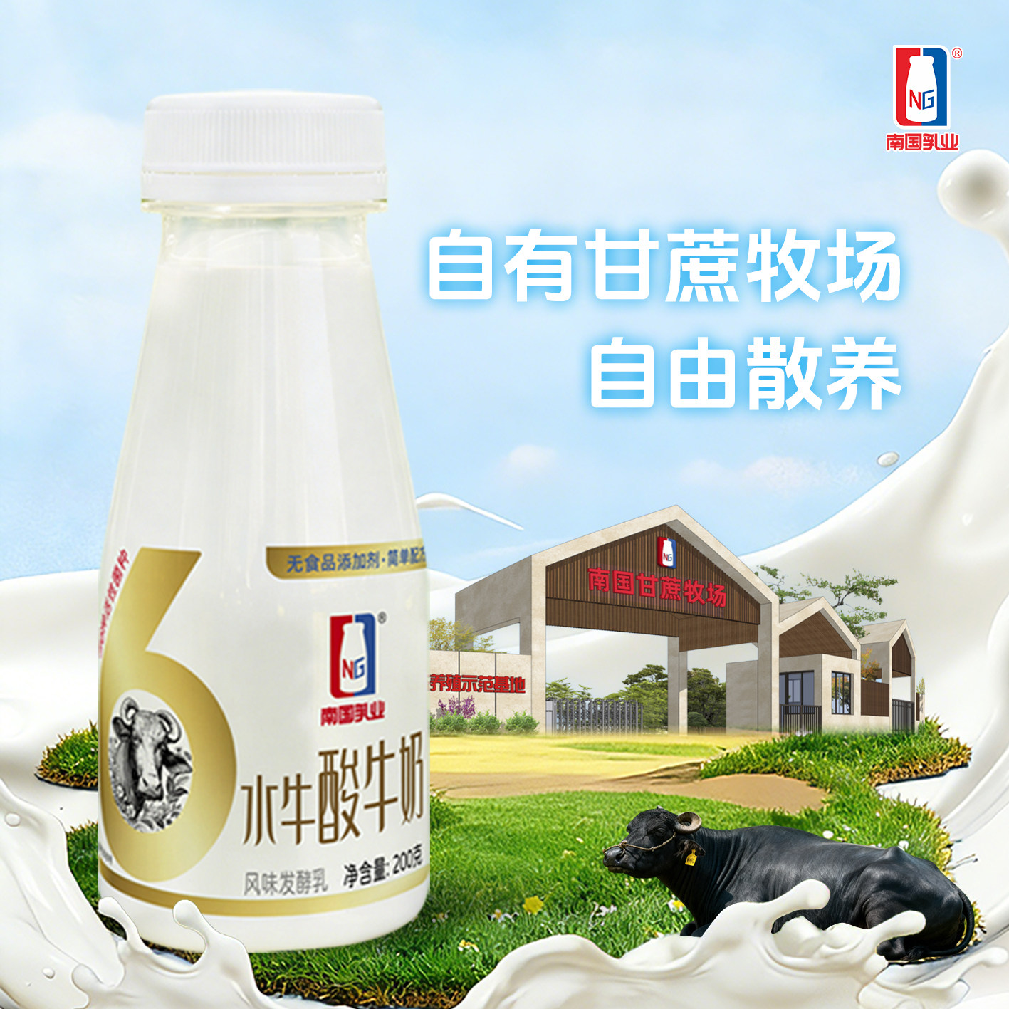 【新品】南国乳业 低温水牛酸奶3.8g鲜牛奶200ml 儿童学生 早餐奶,咖啡/麦片/冲饮,低温酸奶,淘宝优惠券,粉丝福利购,淘宝优惠卷