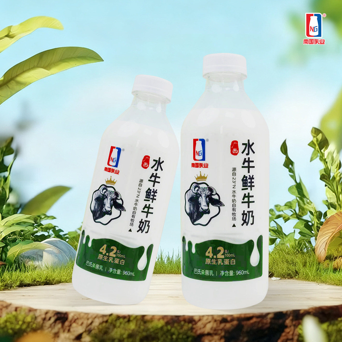 南国乳业4.2鲜牛奶960ml图片