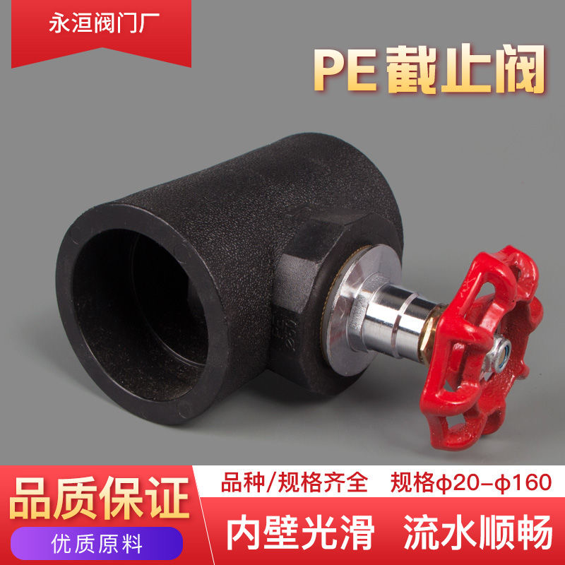 20PE升降截止阀门25自来水管止水闸阀开关4分6分1寸球阀管件配件