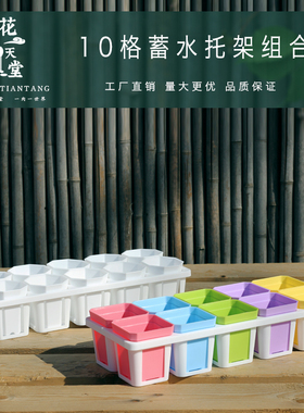 新品多肉植物7cm方盆八角盆10格蓄水托架组合生石花肉锥毛汉尼盆