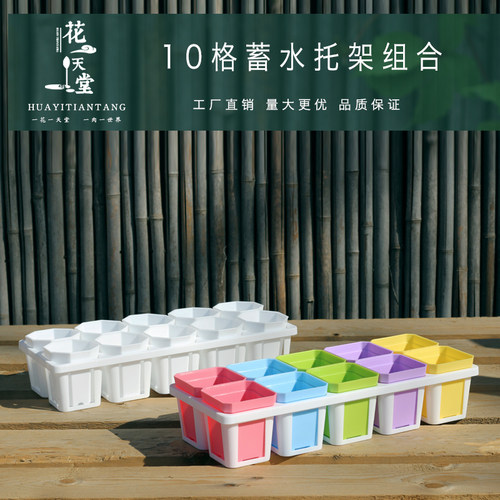 新品多肉植物7cm方盆八角盆10格蓄水托架组合生石花肉锥毛汉尼盆