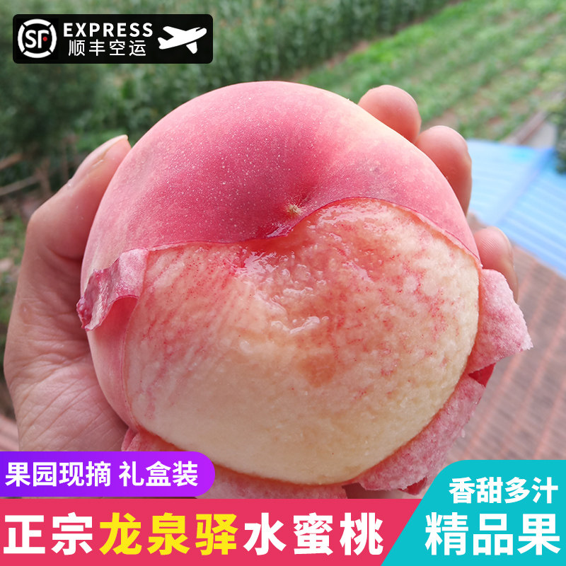 成都龙泉驿水蜜桃5斤新鲜水果园现摘当季整箱包邮香甜多汁礼盒装3