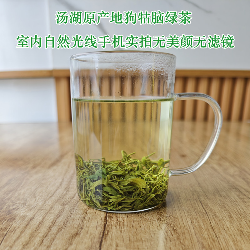 遂川狗牯脑茶雨前特级春茶2026新茶江西茶叶高山云雾绿茶味浓耐泡