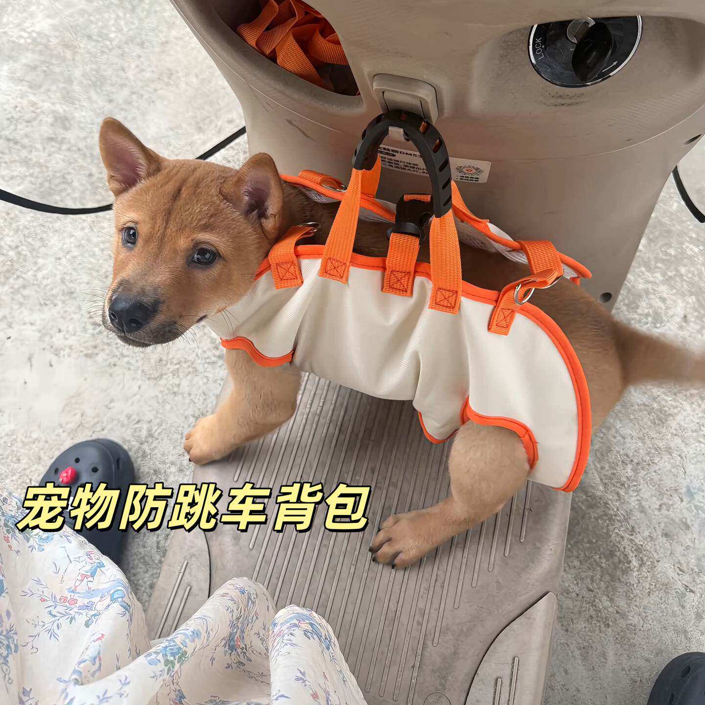 狗狗外出便携包小型犬防跳车电动车双肩挂包斜挎牵引手提轻便泰迪