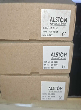 #ALSTOM(崽崽配件）
