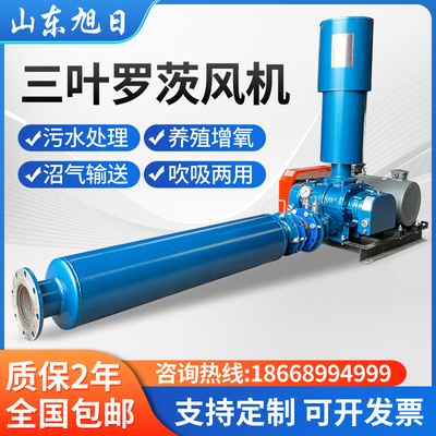 三叶罗茨风机鱼塘水产增氧鼓风机工业污水处理曝气真空泵厂家直销