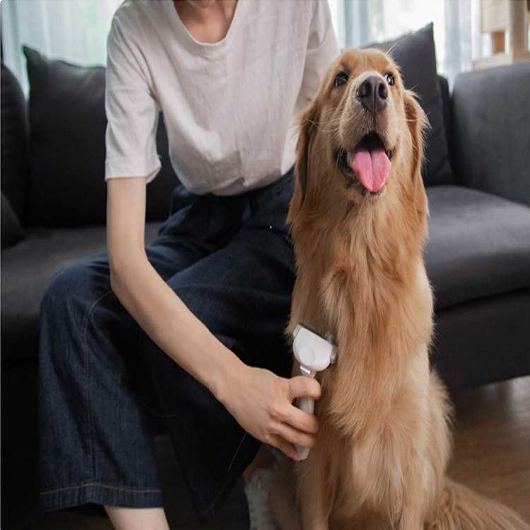 新款直销PAWBBY宠物去浮毛猫猫清理神器梳毛刷猫咪毛发打薄去狗毛