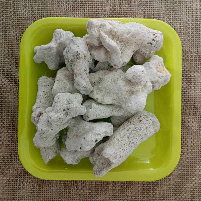 新款直销珊瑚骨 珊瑚石 底砂碎 珊瑚砂 鱼缸滤材