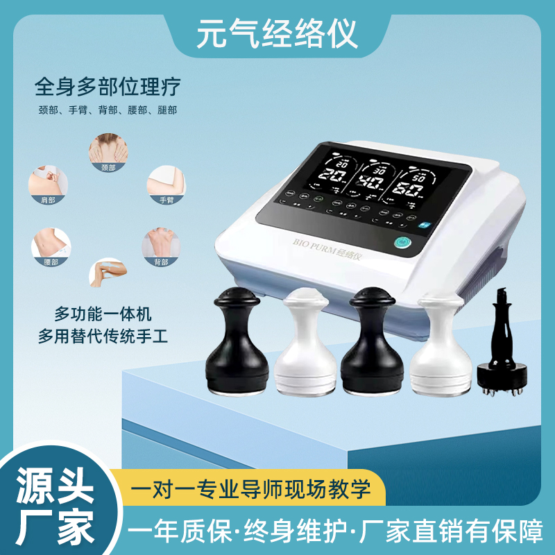 中国同款生活馆经络仪元气植经络仪理疗仪器长青痛症理疗按摩养生