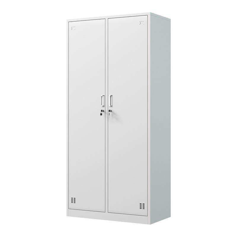 办公室二门员工更衣柜铁皮柜子2门储物柜带锁健身房3门浴室换衣柜