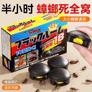 诱饵盒强效第虫卵双杀一名非无毒 蟑螂药贴墙日本灭家用全窝端正品