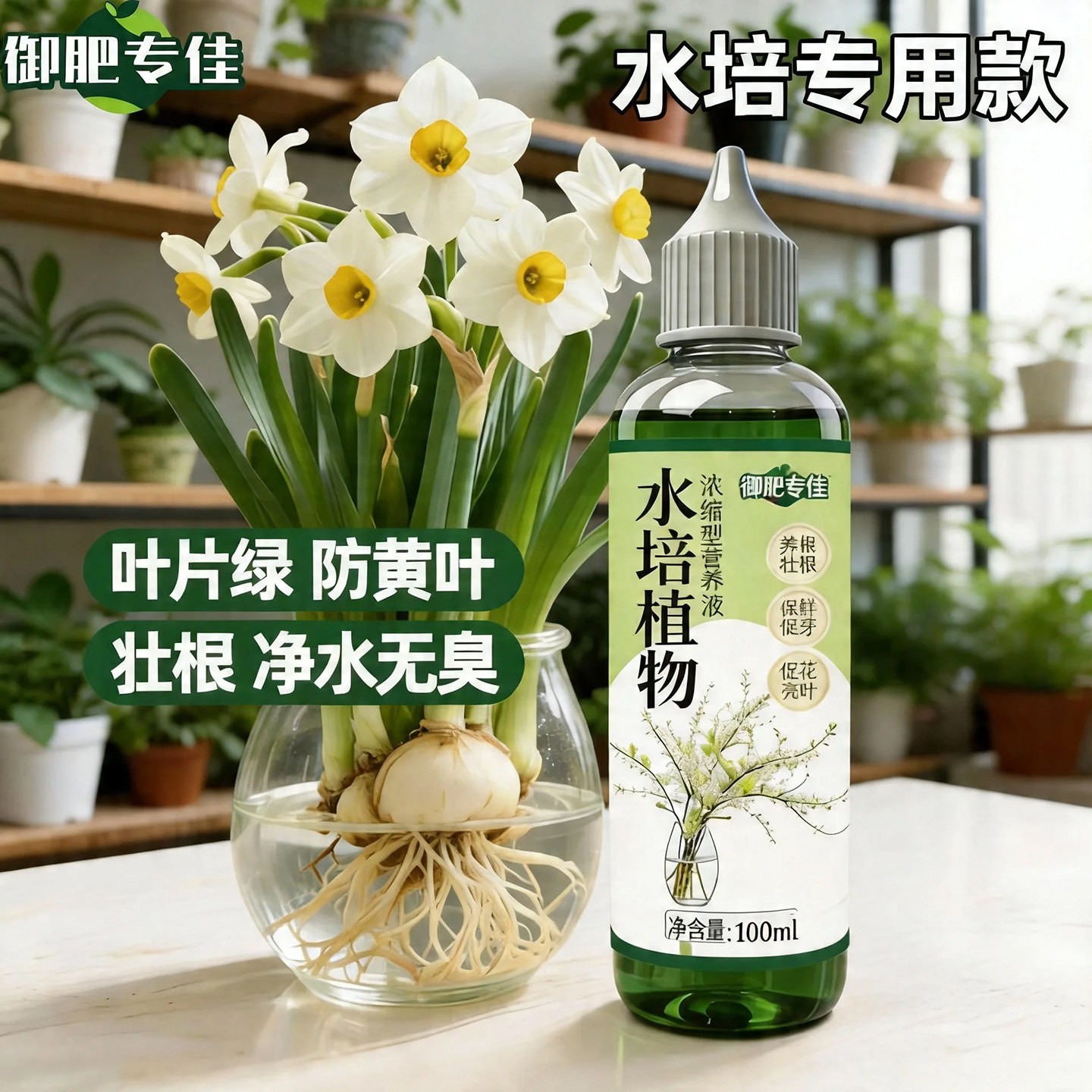 水培植物营养液通用型富贵竹铜钱草郁金香吊兰发财树绿箩专用肥