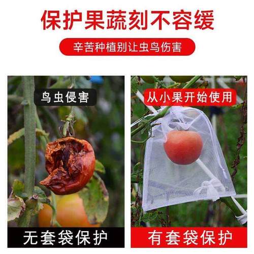 水果套袋防鸟网纱袋防虫袋果树无花果葡萄桃子草莓保护袋果蝇种植