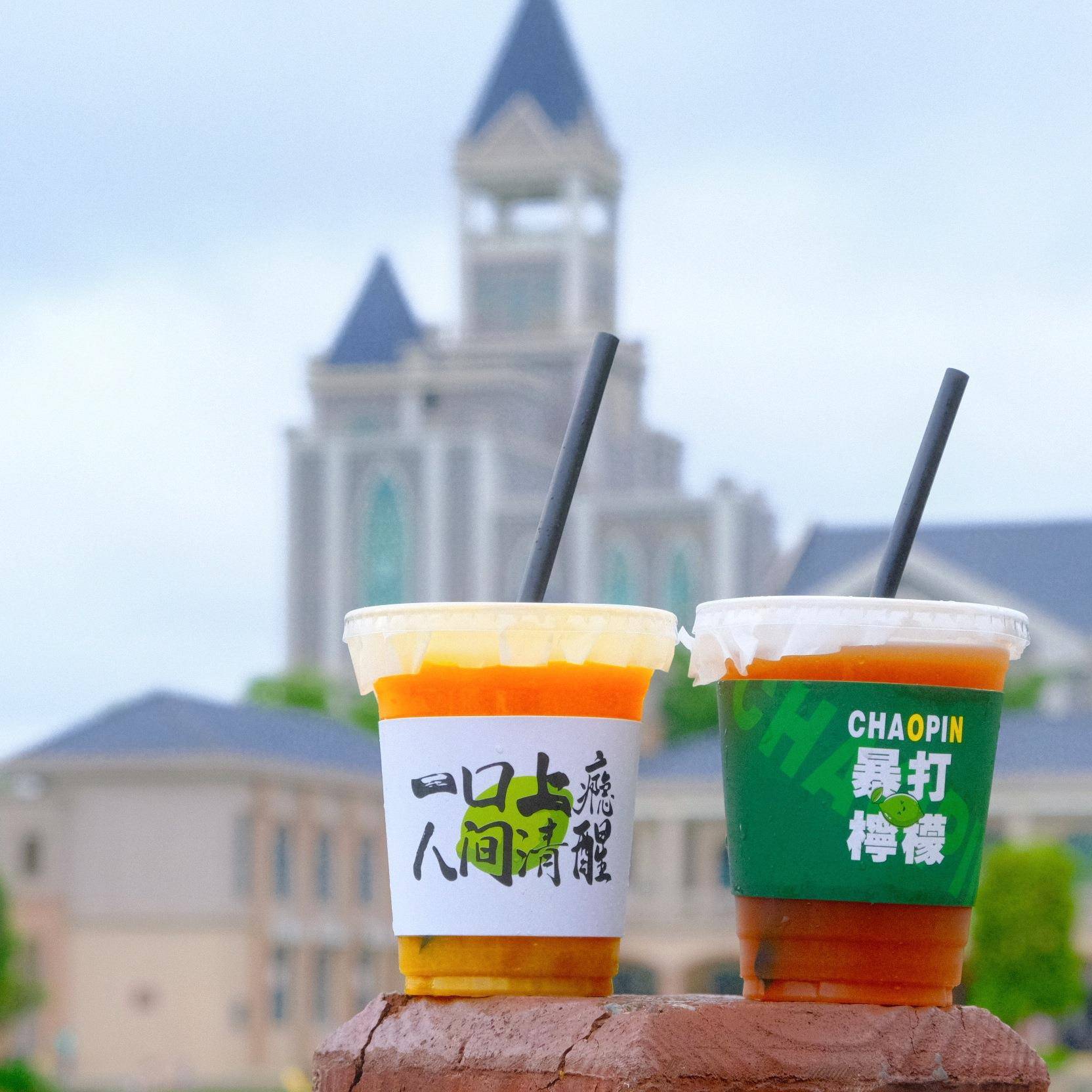 塑料咖啡杯子一次性打包杯塑料500毫升冷饮杯果汁奶茶杯批有盖子