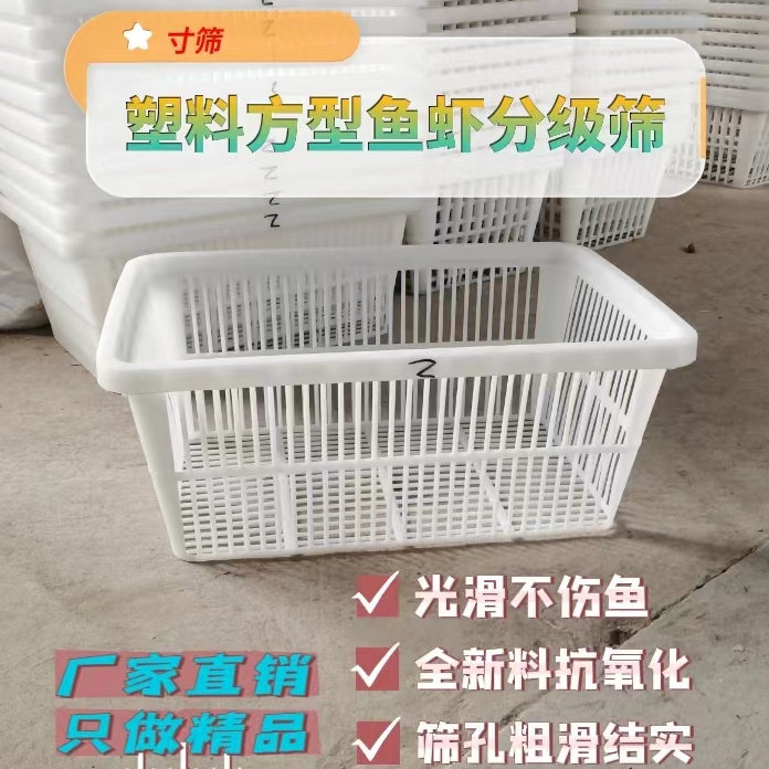 全新款熟塑料方形龙虾鱼