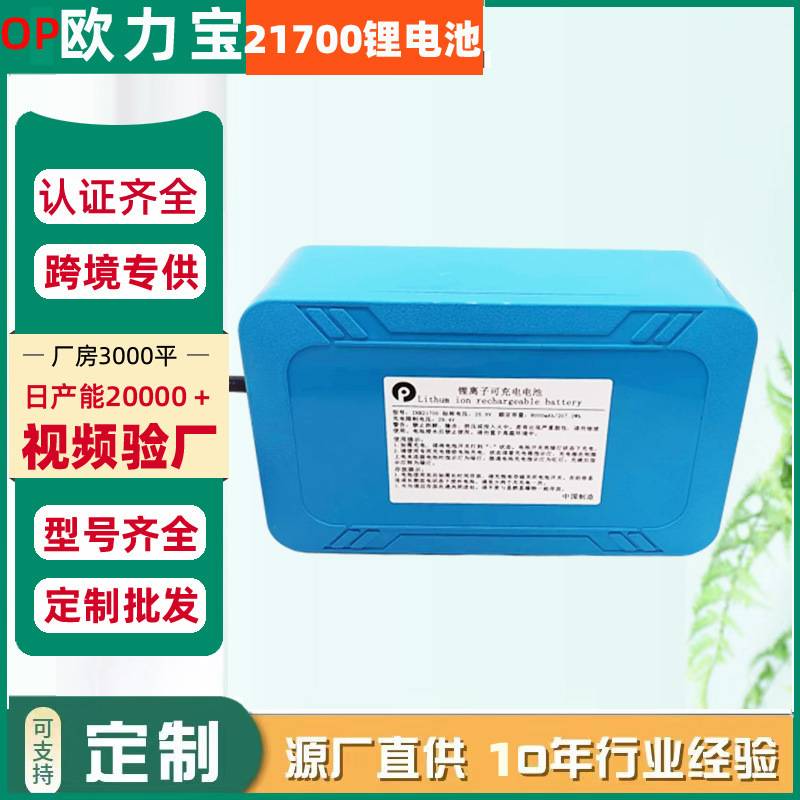 21700锂电池6S2P工控类吸尘器筋膜枪电钻门控果子机照明灯锂电池