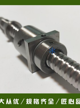 滚珠丝杠C-BSSTH/BSSTHK/BSSCH/BSSCHK2020 2510 3205 3210 3232