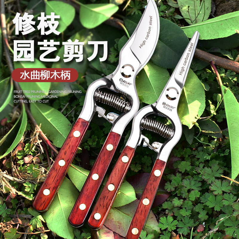 修枝剪园艺剪刀剪树枝专用剪刀粗枝剪园林修剪果树修枝花艺修花剪图片