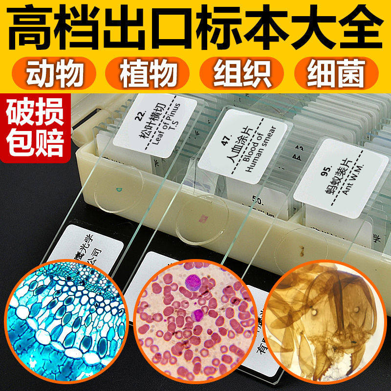 生物显微镜本动物植物细胞套装载玻片儿童观察实验样本切片装片