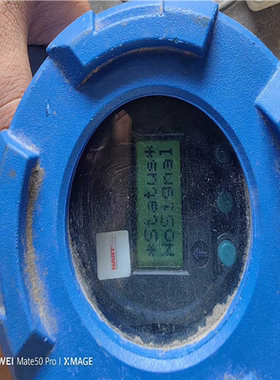 【顺庆】magnetrol麦格纳丘液位计【议价】