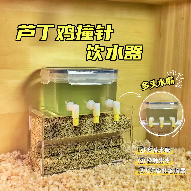 芦丁鸡饮水器撞针式饮水器鹦鹉水壶宠物用小鸡喂水喂食器鹌鹑用