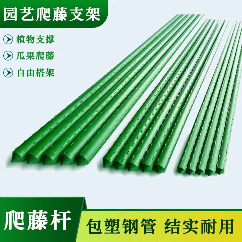 三角梅高飘支撑杆园艺支柱包塑钢管植物支架爬藤花架月季支撑杆黄