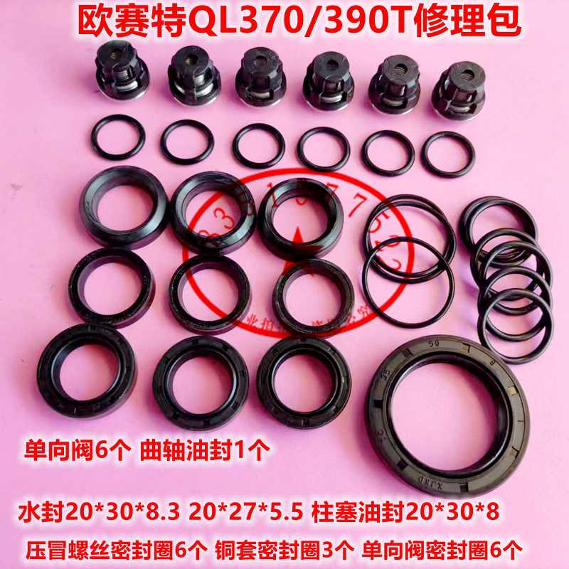 苏州黑马欧赛特美拓QL370/390T洗车机泵头修理包水封油封密封圈