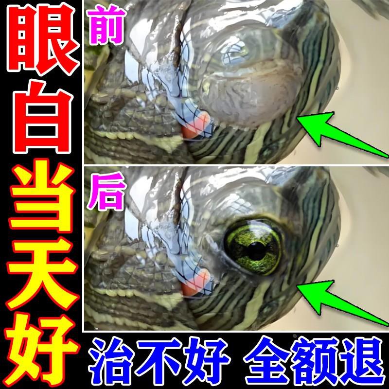 乌龟白眼病专用药巴西龟眼睛肿睁不开治乌龟腐皮腐甲肠炎闭眼高效
