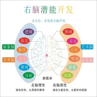 右脑潜能开发海报展板全脑开发让脑细胞跳跃起来墙贴墙纸装饰画