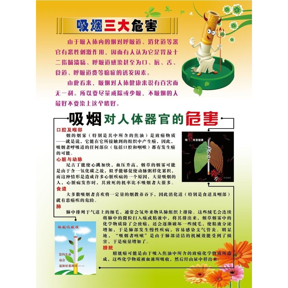 吸烟三大危害海报展板吸烟对人体器官的危害吸烟的十大危害墙贴