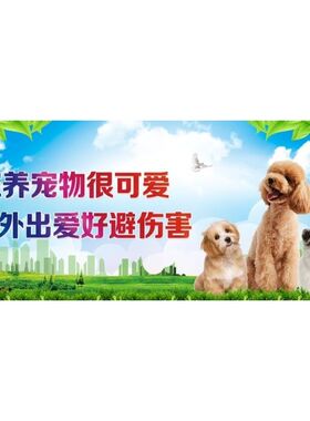 家养宠物很可爱外出爱好避伤害海报展板宠物医院宠爱有家墙贴墙纸
