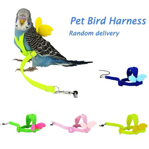 好货Pet Parrot Bird Harness Leash Flying Rope Straps Outdoor