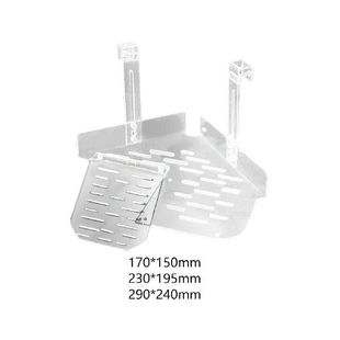 Basking Ladder Platform Terrace Turtles Climbing Turtle