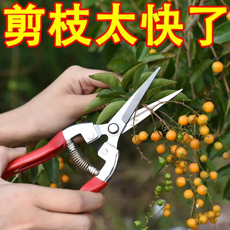 摘果剪园艺户外蔬菜采摘葡萄剪刀