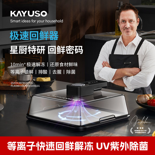 牛排极速回鲜器厨房冷冻食物