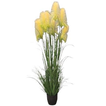 芦苇盆景落地绿植北欧家居摆件室内景观水草装饰道具套装