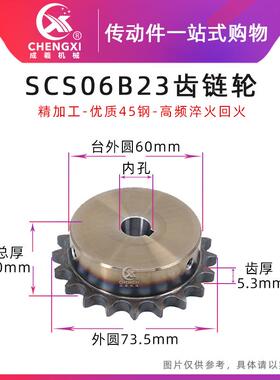 SCS高品质成型孔链轮3分23齿 06B23T外径73.5 精车内孔键槽顶丝
