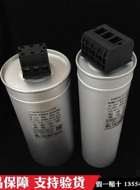宁波立新电力电容器TBKMJ0.48-30-3 LXMX0.45-30-3 AKMJ0.8-20-1