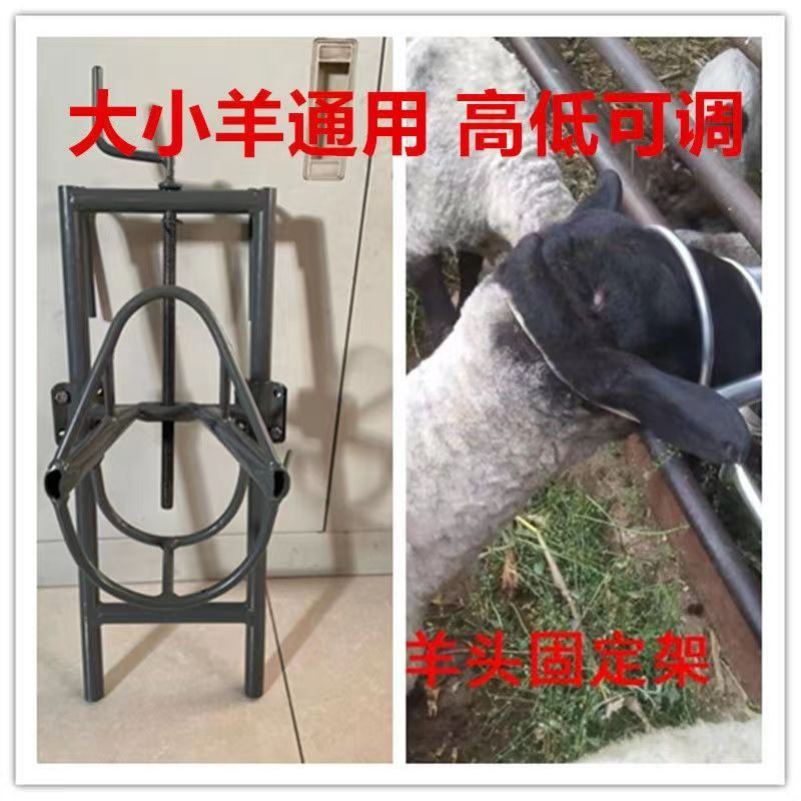 羊头固定架剪羊毛架子打针挤奶配种打羊毛o推毛万能型羊用固定器