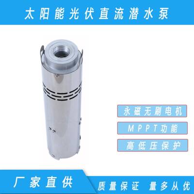 新款24v36v太阳能光伏潜水泵NS243T-120家用灌溉抽水螺杆泵厂家