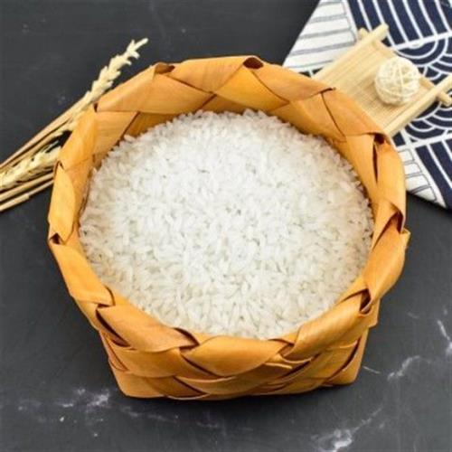 好货仿真大米模型假米粒道具塑料大米粮食谷物食物食品装饰摆设道